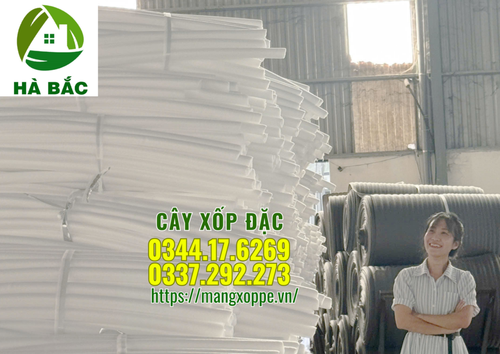 cay-xop-dac-4cm-tai-ha-noi