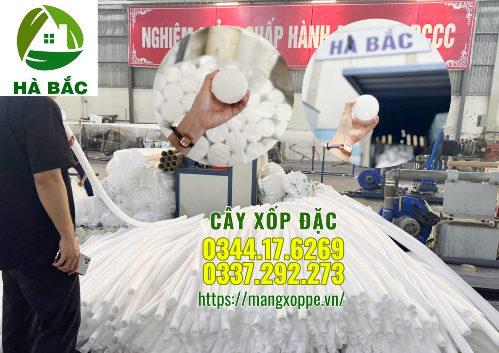 cay-xop-dac-4cm-tai-ha-noi