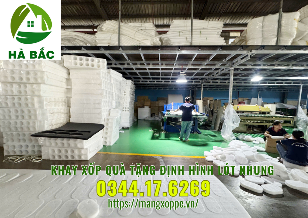 khay-xop-qua-tang-dinh-hinh-lot-nhung-tai-tan-binh khay-xop-qua-tang-dinh-hinh-lot-nhung-tai-tan-binh