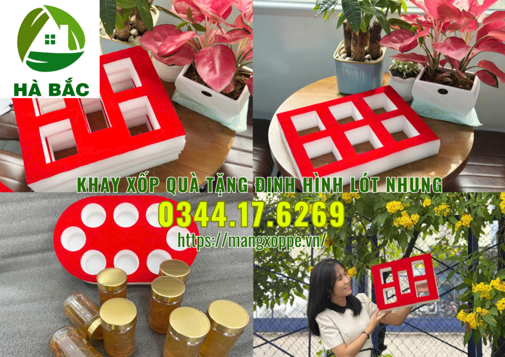 khay-xop-qua-tang-dinh-hinh-lot-nhung-tai-tan-binh khay-xop-qua-tang-dinh-hinh-lot-nhung-tai-tan-binh