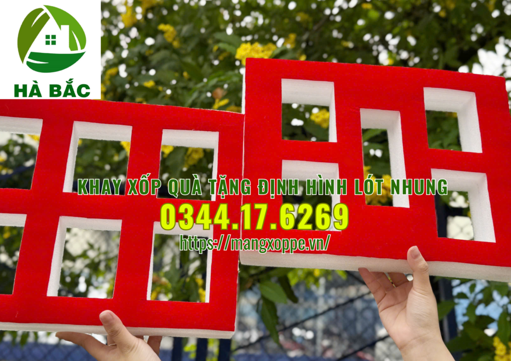 khay-xop-qua-tang-dinh-hinh-lot-nhung-tai-tan-binh khay-xop-qua-tang-dinh-hinh-lot-nhung-tai-tan-binh