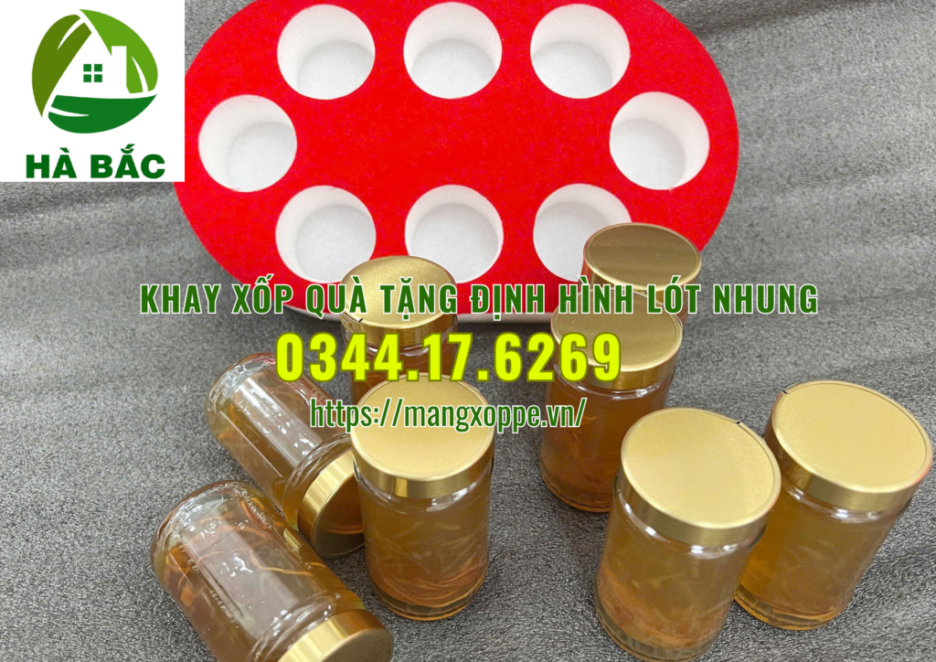 khay-xop-qua-tang-dinh-hinh-lot-nhung-tai-tan-binh khay-xop-qua-tang-dinh-hinh-lot-nhung-tai-tan-binh