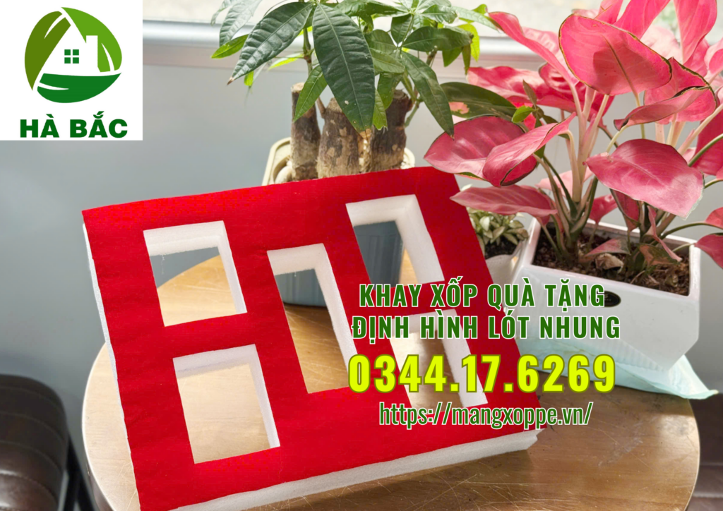 khay-xop-qua-tang-dinh-hinh-lot-nhung-tai-tan-binh khay-xop-qua-tang-dinh-hinh-lot-nhung-tai-tan-binh