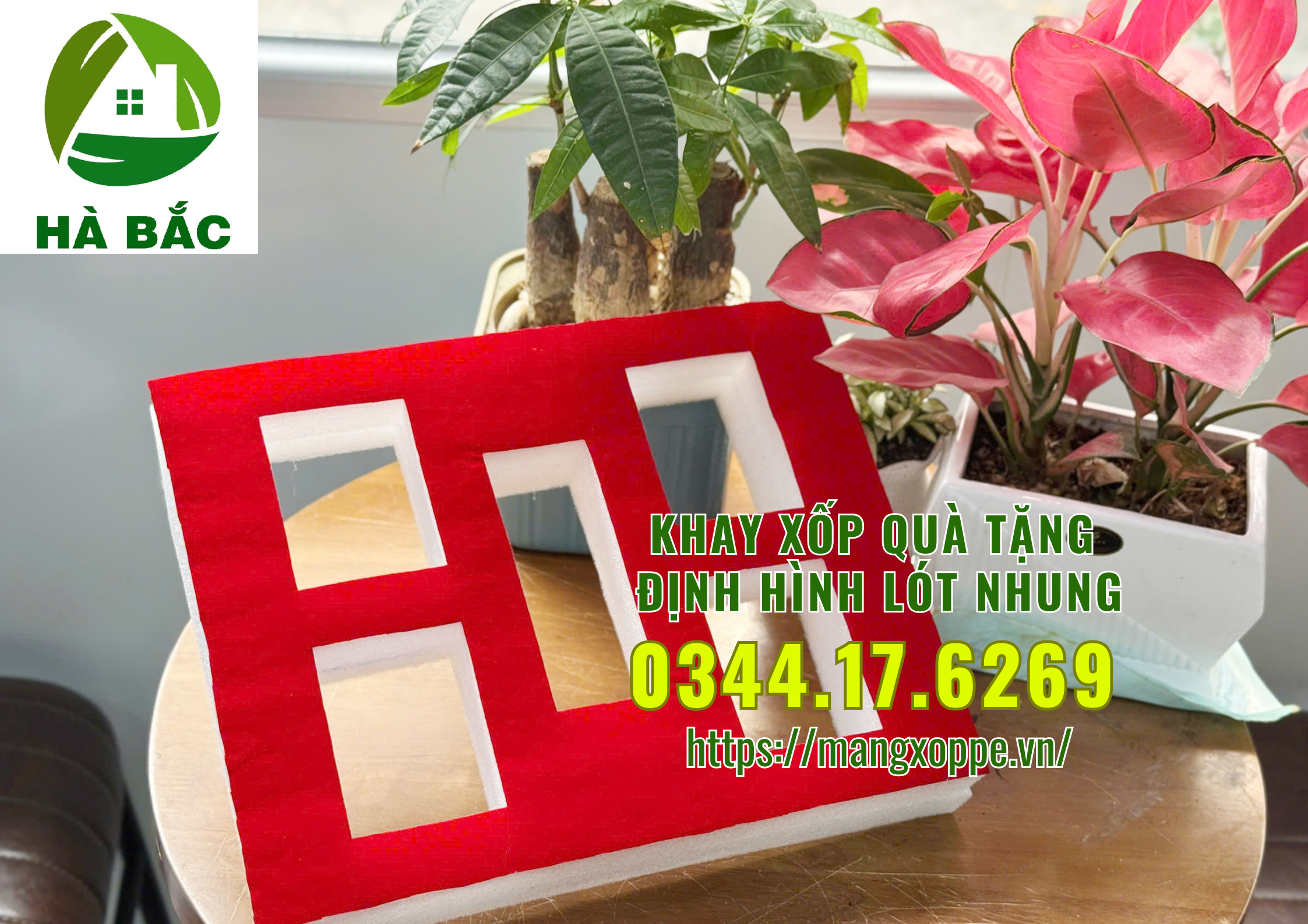 khay-xop-qua-tang-dinh-hinh-lot-nhung-tai-tan-binh