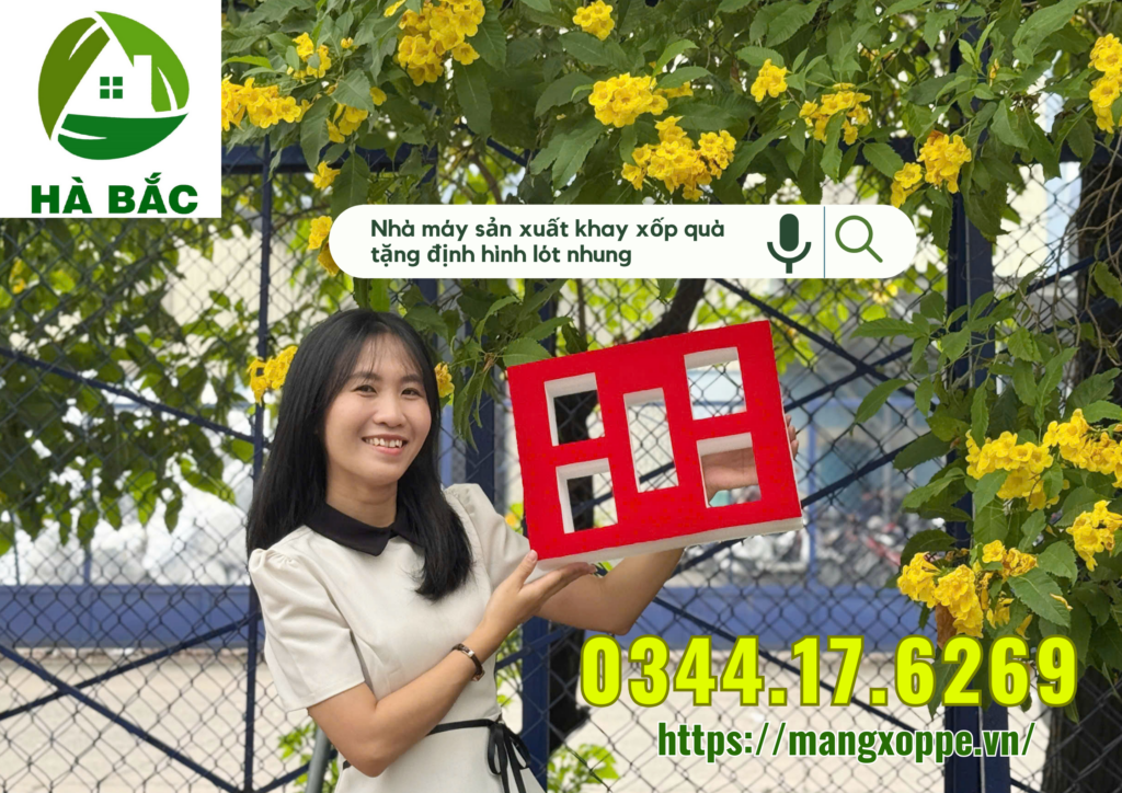 khay-xop-qua-tang-dinh-hinh-lot-nhung-tai-tan-binh khay-xop-qua-tang-dinh-hinh-lot-nhung-tai-tan-binh