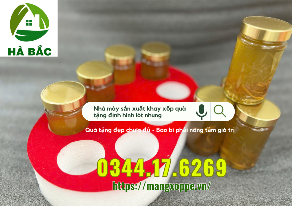 khay-xop-qua-tang-dinh-hinh-lot-nhung-tai-tan-binh khay-xop-qua-tang-dinh-hinh-lot-nhung-tai-tan-binh