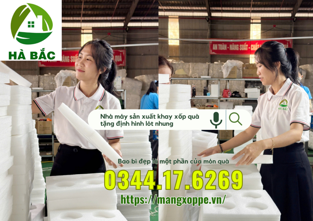 khay-xop-qua-tang-dinh-hinh-lot-nhung-tai-tan-binh khay-xop-qua-tang-dinh-hinh-lot-nhung-tai-tan-binh
