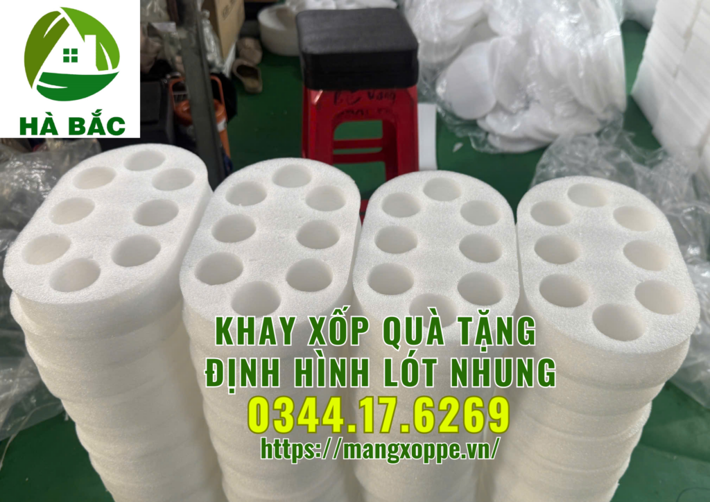 khay-xop-qua-tang-dinh-hinh-lot-nhung-tai-tan-binh khay-xop-qua-tang-dinh-hinh-lot-nhung-tai-tan-binh