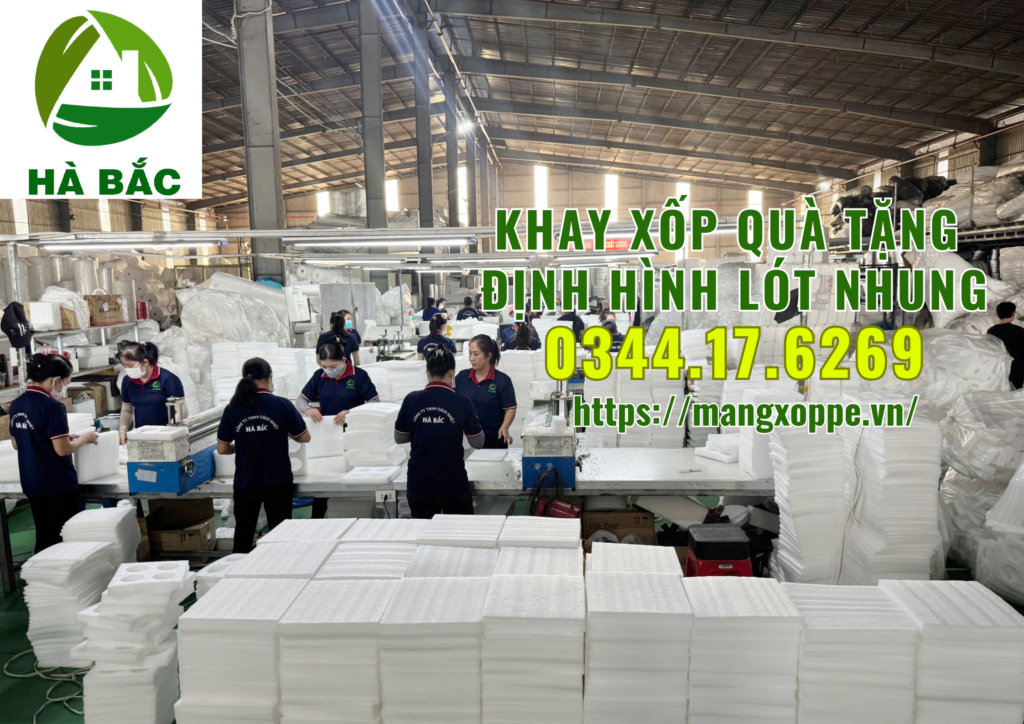 khay-xop-qua-tang-dinh-hinh-lot-nhung-tai-tan-binh khay-xop-qua-tang-dinh-hinh-lot-nhung-tai-tan-binh