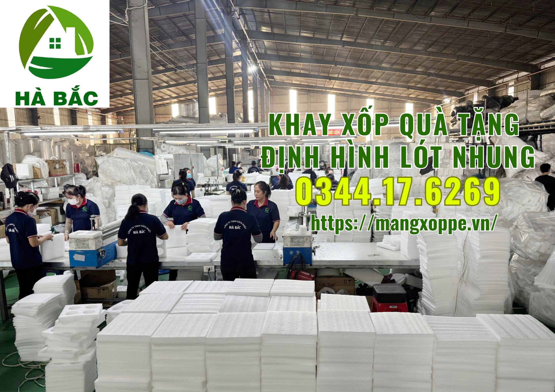 khay-xop-qua-tang-dinh-hinh-lot-nhung-tai-tan-binh