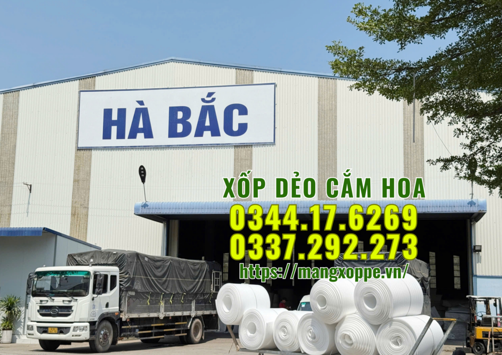 xop-deo-cam-hoa-tai-mien-bac