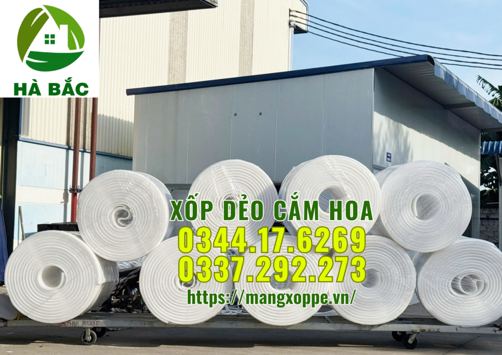 xop-deo-cam-hoa-tai-mien-bac
