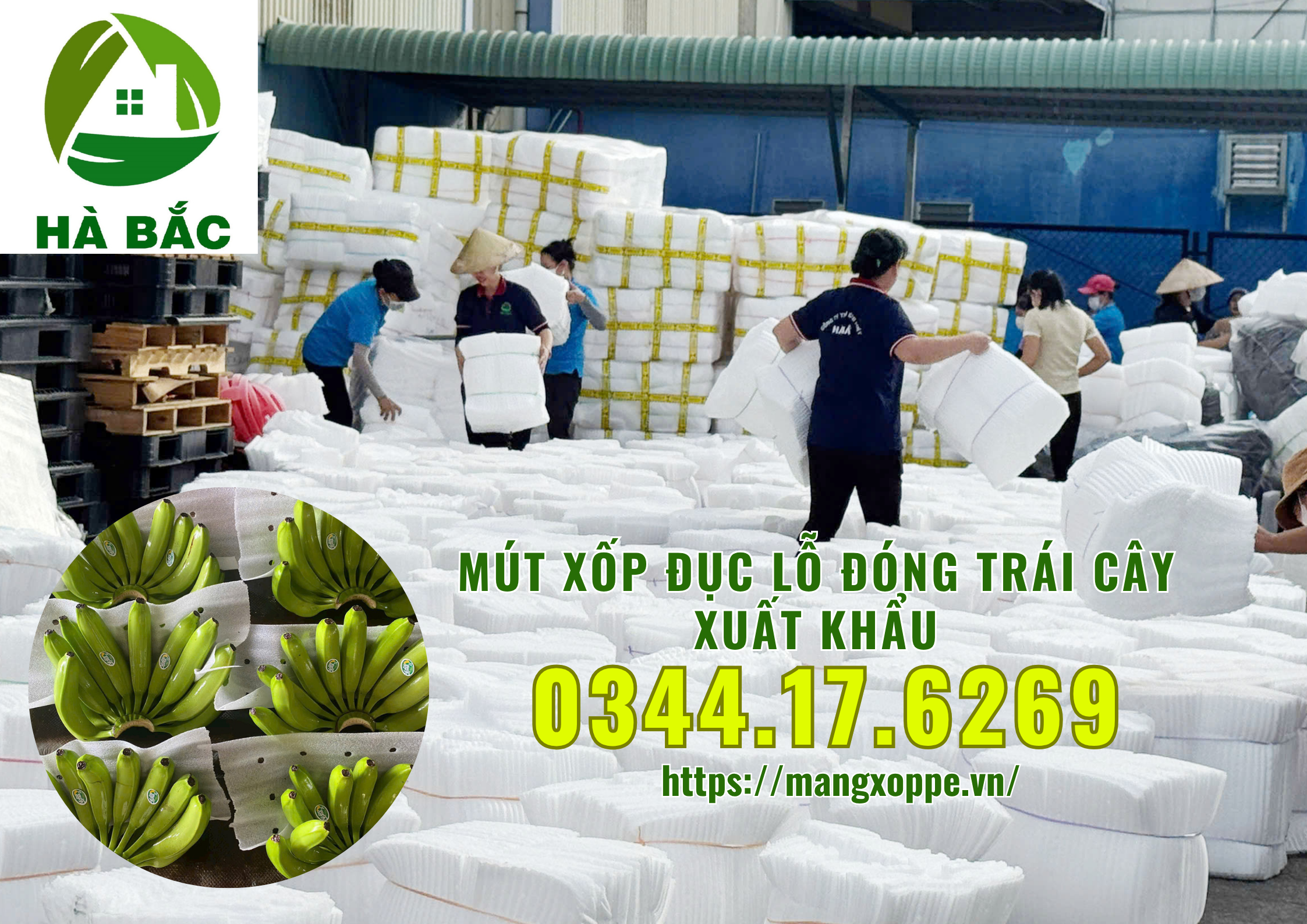 mut-xop-duc-lo-dong-xoai-xuat-khau-tai-binh-duong