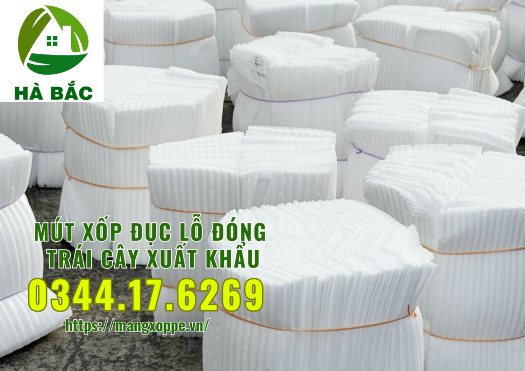 mut-xop-duc-lo-dong-xoai-xuat-khau-tai-binh-duong mut-xop-duc-lo-dong-xoai-xuat-khau-tai-binh-duong