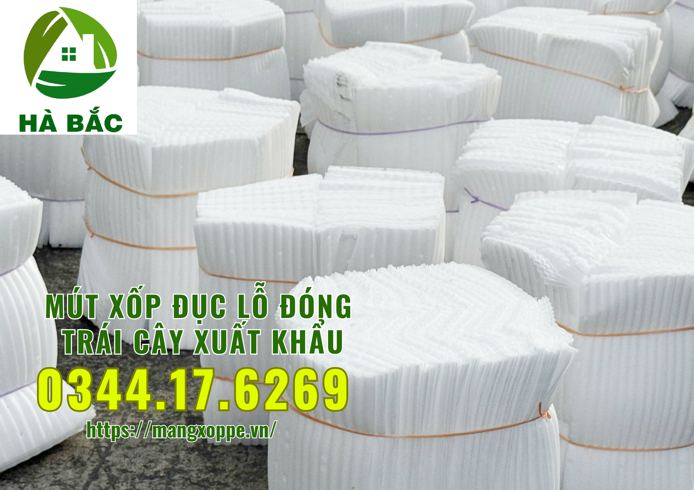 mut-xop-duc-lo-dong-xoai-xuat-khau-tai-binh-duong