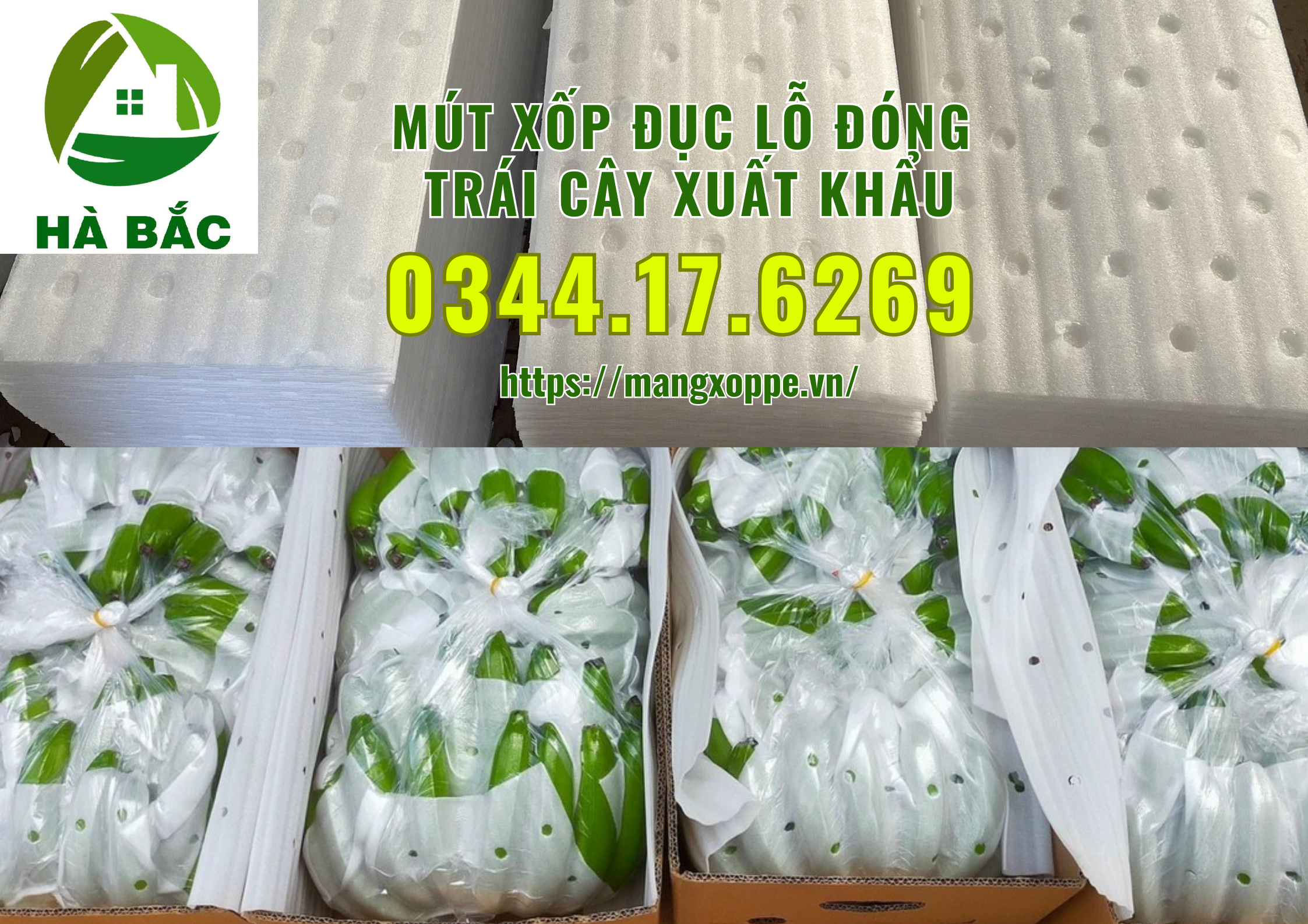 mut-xop-duc-lo-dong-xoai-xuat-khau-tai-binh-duong