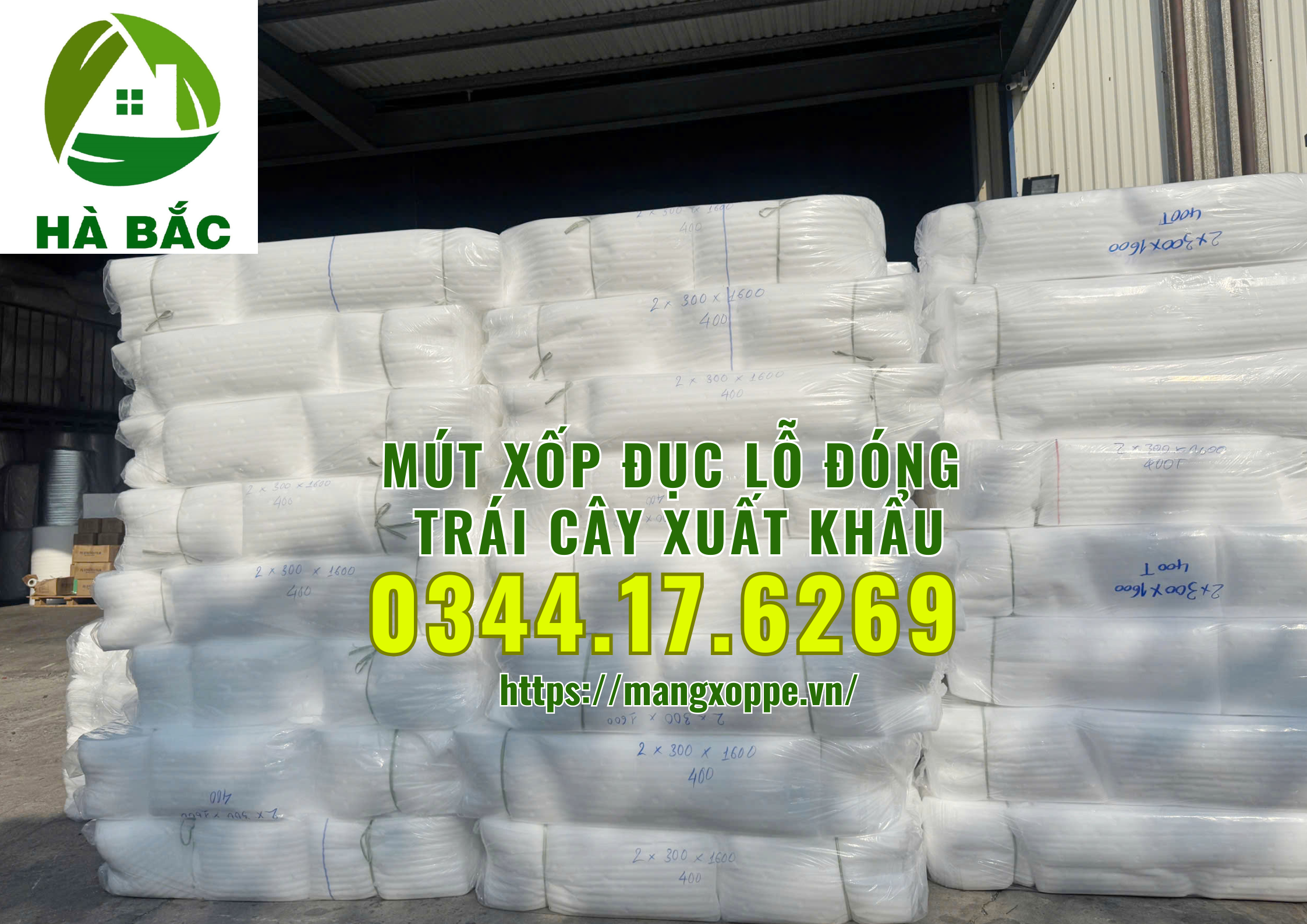 mut-xop-duc-lo-dong-xoai-xuat-khau-tai-binh-duong