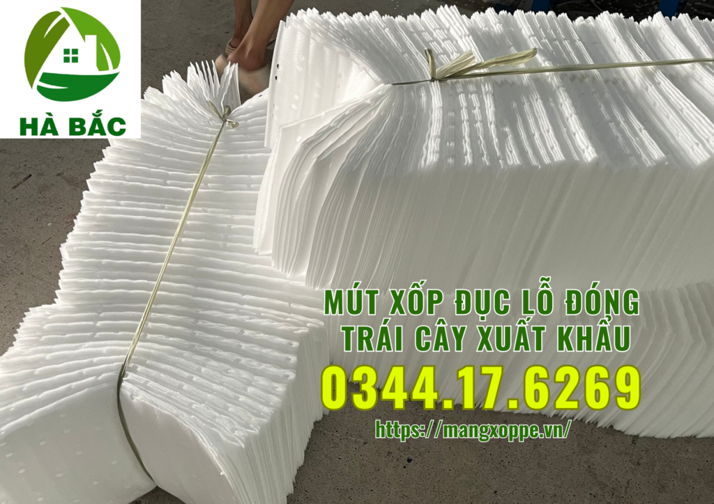 mut-xop-duc-lo-dong-xoai-xuat-khau-tai-binh-duong mut-xop-duc-lo-dong-xoai-xuat-khau-tai-binh-duong