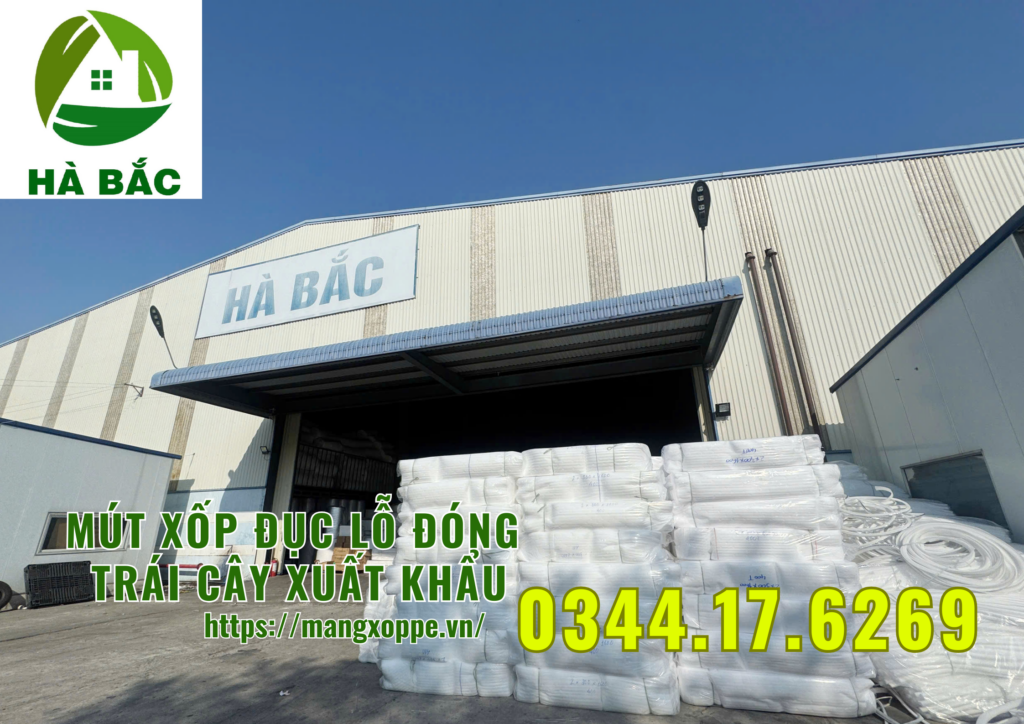 mut-xop-duc-lo-dong-xoai-xuat-khau-tai-binh-duong mut-xop-duc-lo-dong-xoai-xuat-khau-tai-binh-duong