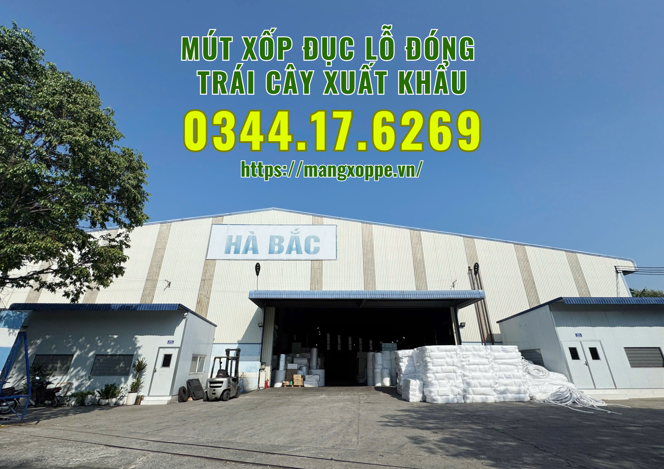 mut-xop-duc-lo-dong-xoai-xuat-khau-tai-binh-duong
