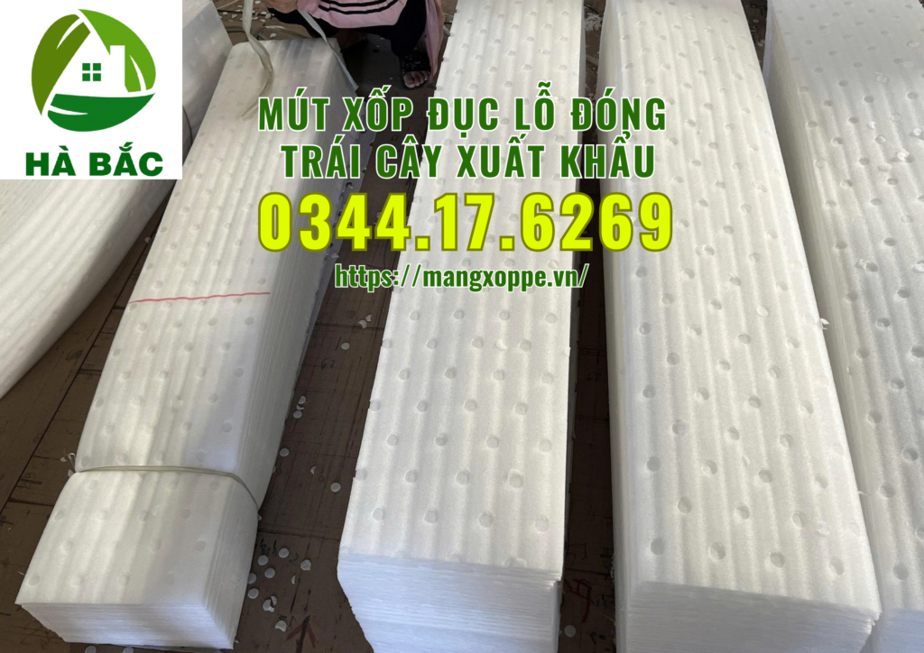 mut-xop-duc-lo-dong-xoai-xuat-khau-tai-binh-duong mut-xop-duc-lo-dong-xoai-xuat-khau-tai-binh-duong