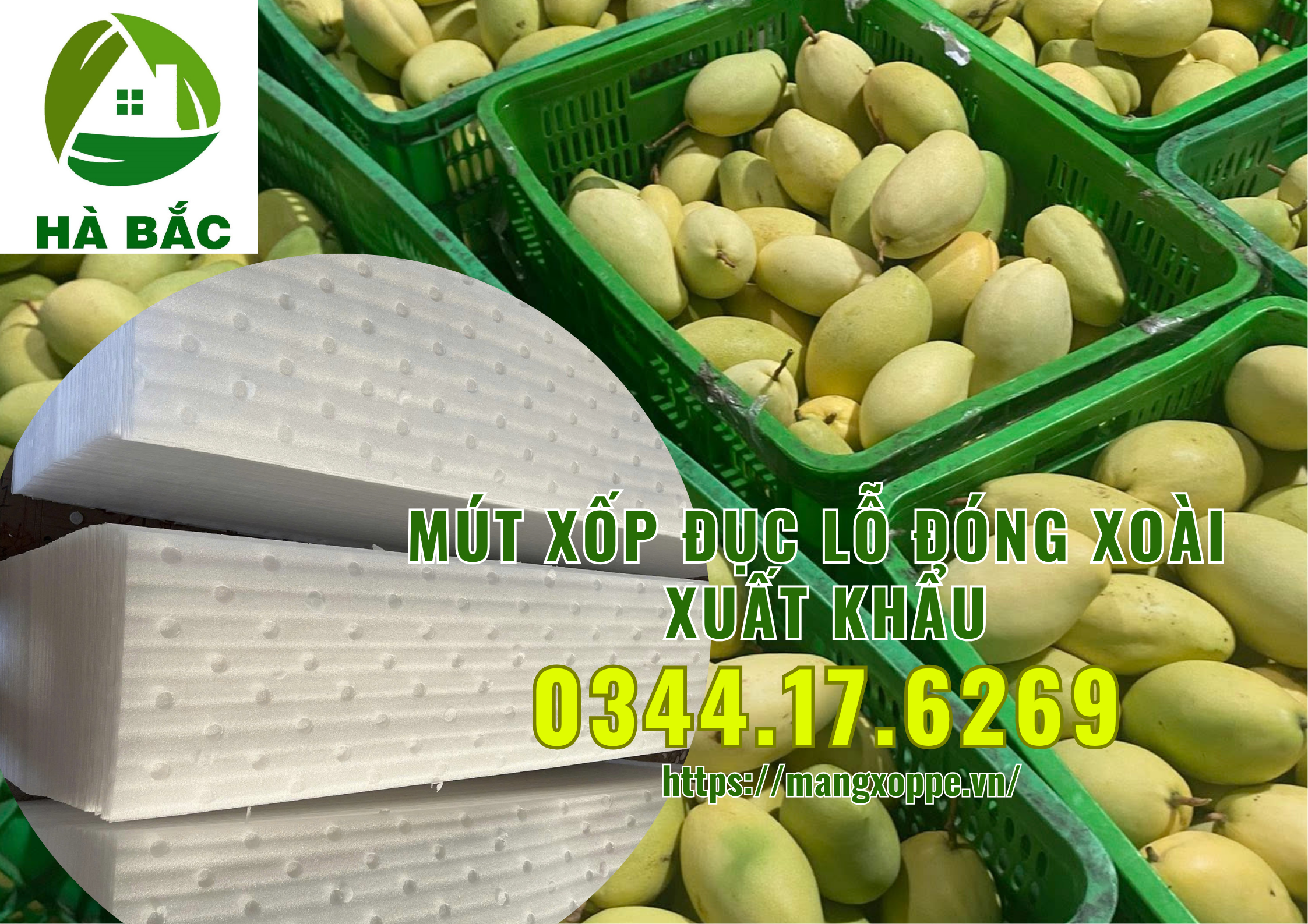 mut-xop-duc-lo-dong-xoai-xuat-khau-tai-binh-duong