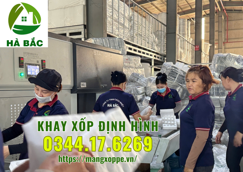 khay-xop-dinh-hinh-tai-binh-duong