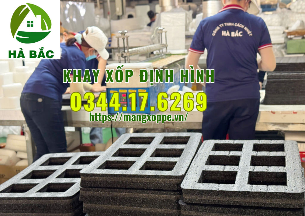 khay-xop-dinh-hinh-tai-binh-duong