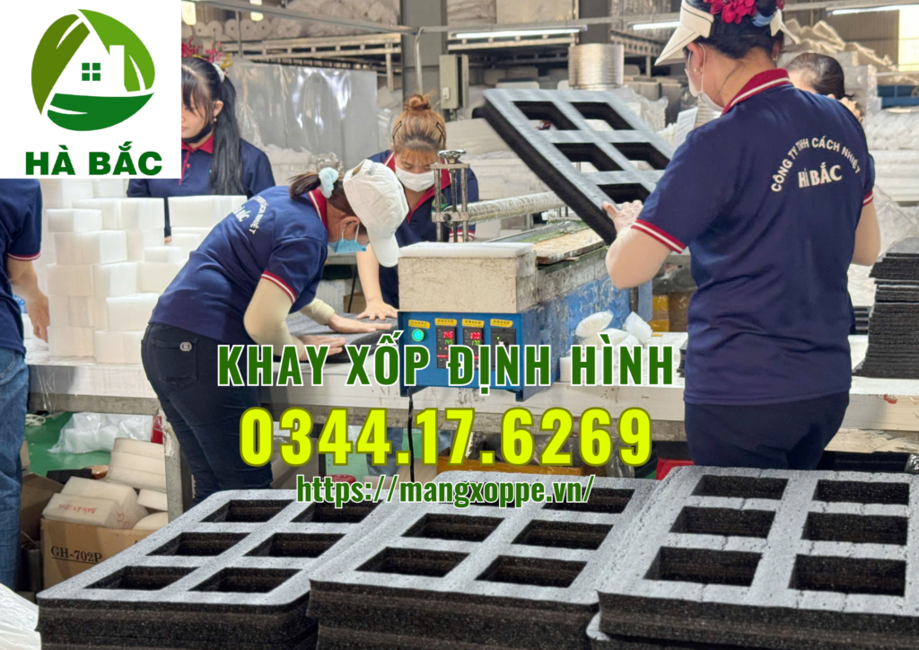 khay-xop-dinh-hinh-tai-binh-duong