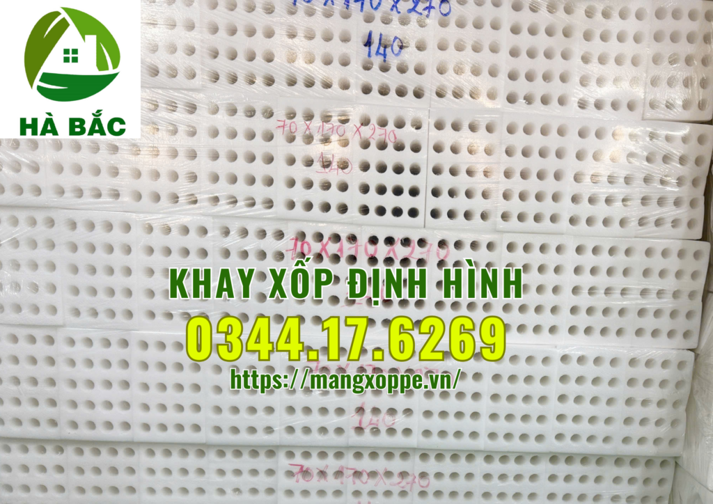 khay-xop-dinh-hinh-tai-binh-duong
