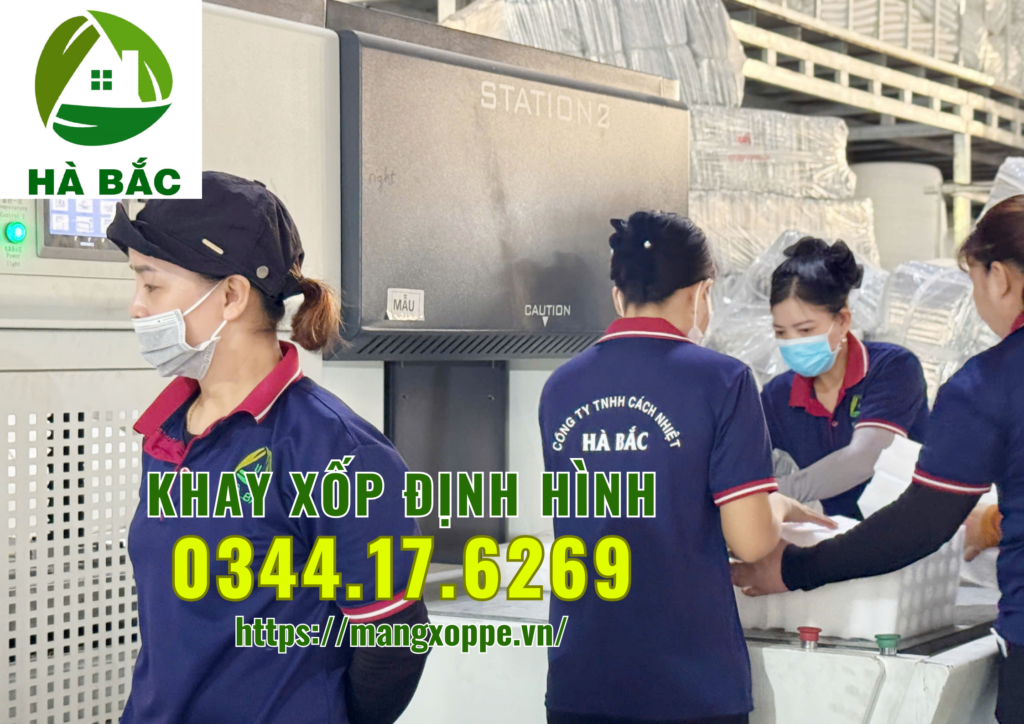 khay-xop-dinh-hinh-tai-binh-duong