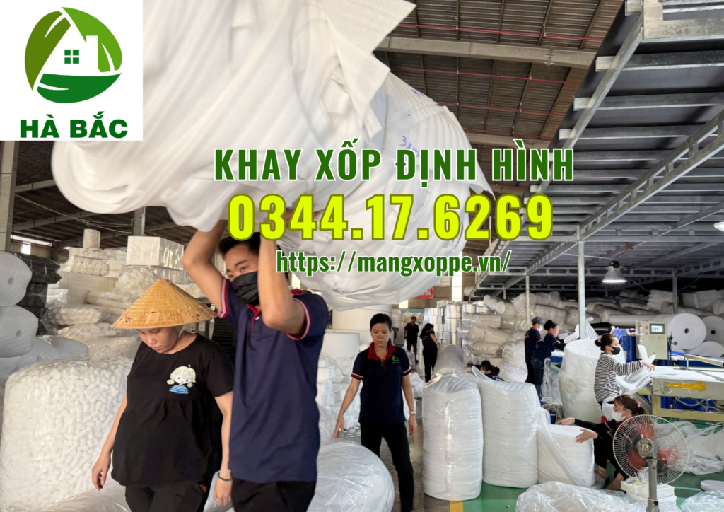 khay-xop-dinh-hinh-tai-binh-duong