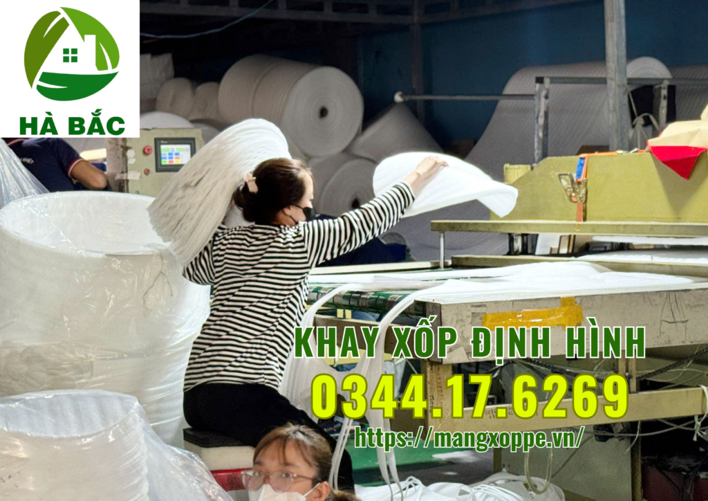 khay-xop-dinh-hinh-tai-binh-duong