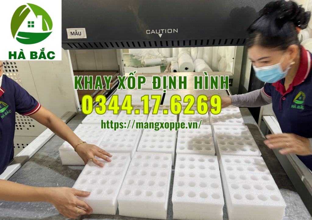 khay-xop-dinh-hinh-tai-binh-duong
