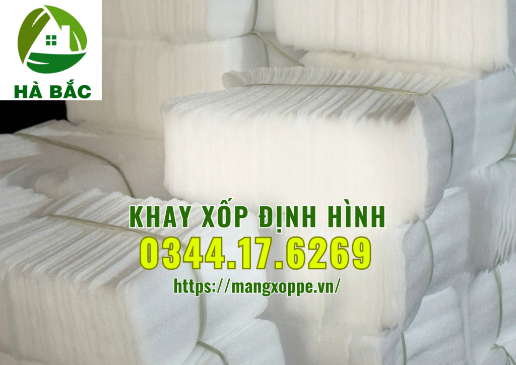 khay-xop-dinh-hinh-tai-binh-duong