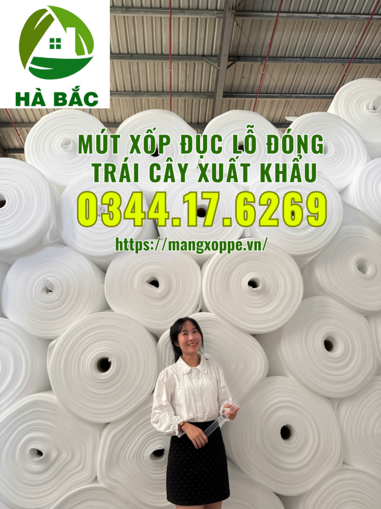mut-xop-duc-lo-dong-xoai-xuat-khau-tai-binh-duong mut-xop-duc-lo-dong-xoai-xuat-khau-tai-binh-duong