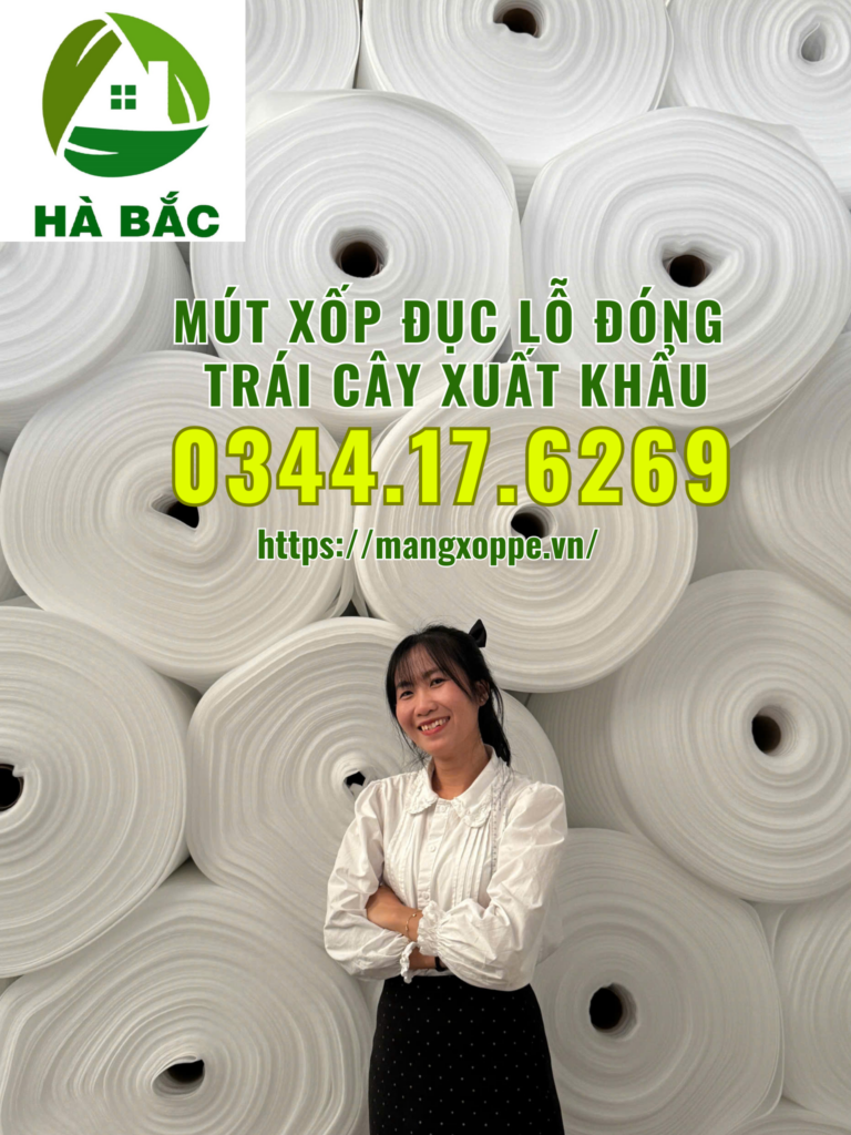 mut-xop-duc-lo-dong-xoai-xuat-khau-tai-binh-duong mut-xop-duc-lo-dong-xoai-xuat-khau-tai-binh-duong
