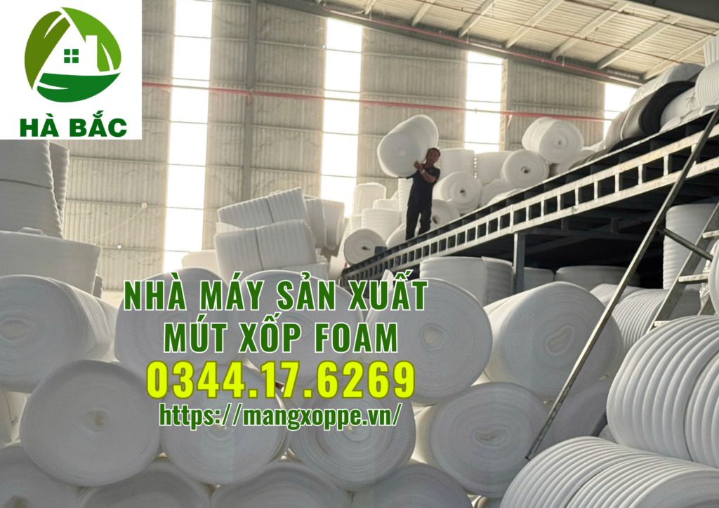 nha-may-san-xuat-mut-xop-foam-tai-binh-duong