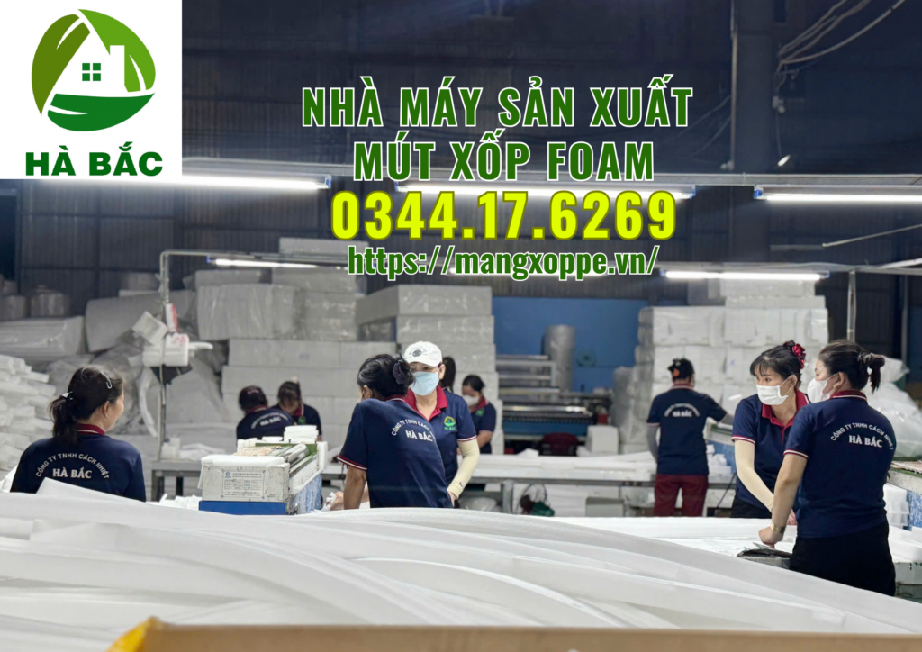 nha-may-san-xuat-mut-xop-foam-tai-binh-duong