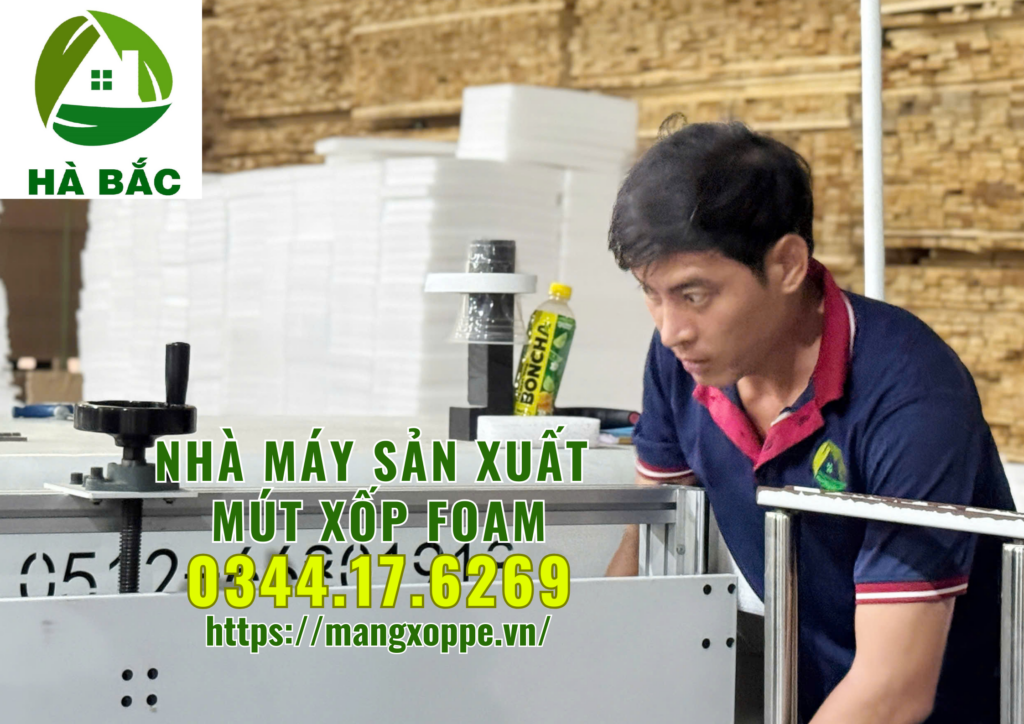 nha-may-san-xuat-mut-xop-foam-tai-binh-duong