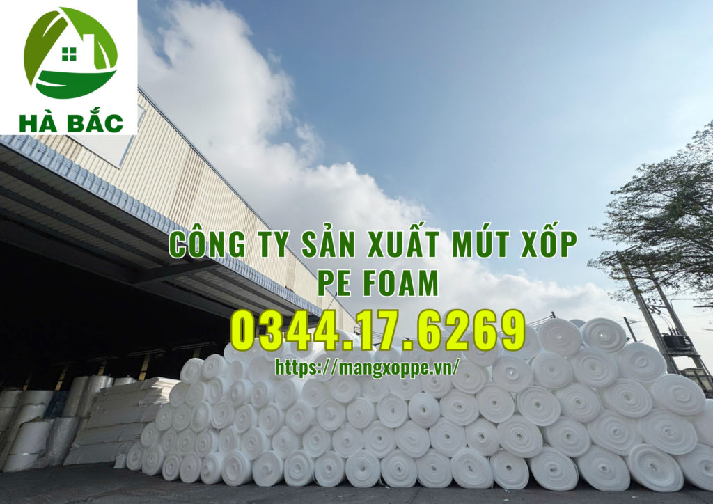 mut-xop-pe-foam-tai-binh-duong mut-xop-pe-foam-tai-binh-duong