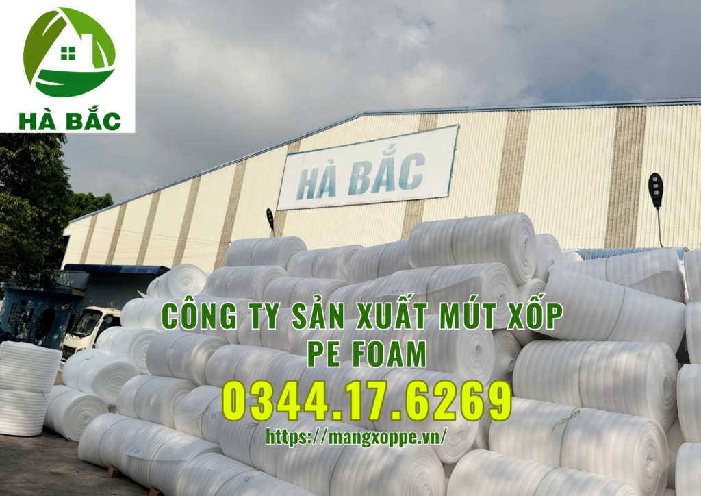 mut-xop-pe-foam-tai-binh-duong mut-xop-pe-foam-tai-binh-duong