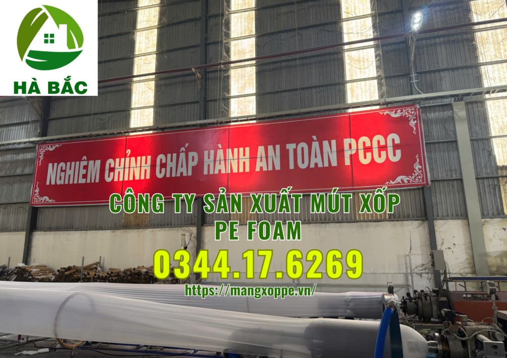 mut-xop-pe-foam-tai-binh-duong mut-xop-pe-foam-tai-binh-duong