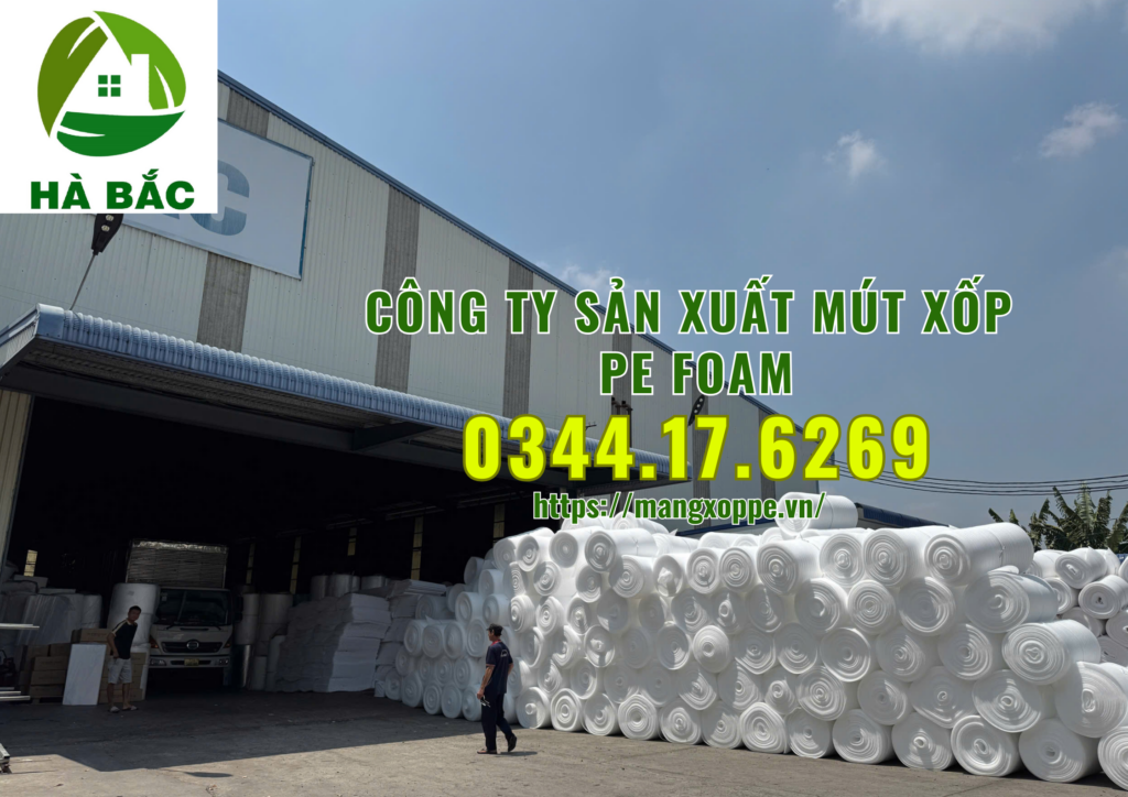 mut-xop-pe-foam-tai-binh-duong mut-xop-pe-foam-tai-binh-duong