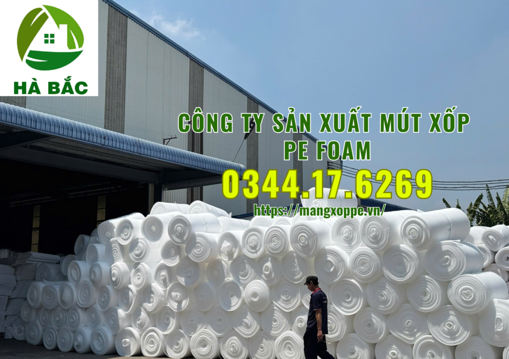 mut-xop-pe-foam-tai-binh-duong mut-xop-pe-foam-tai-binh-duong