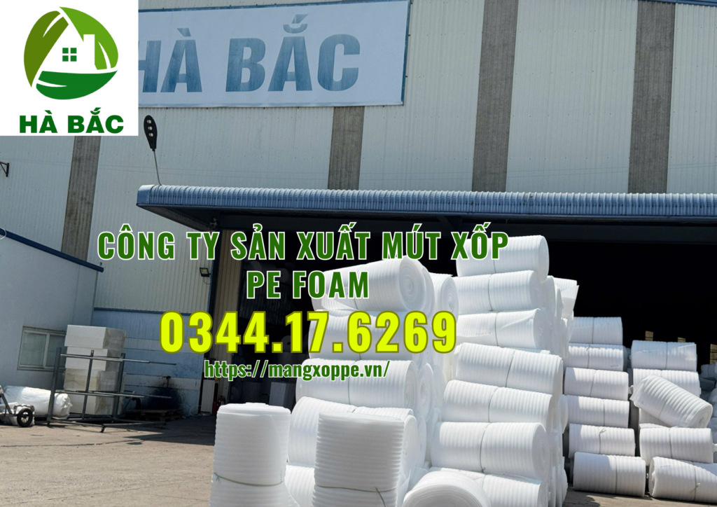 mut-xop-pe-foam-tai-binh-duong mut-xop-pe-foam-tai-binh-duong