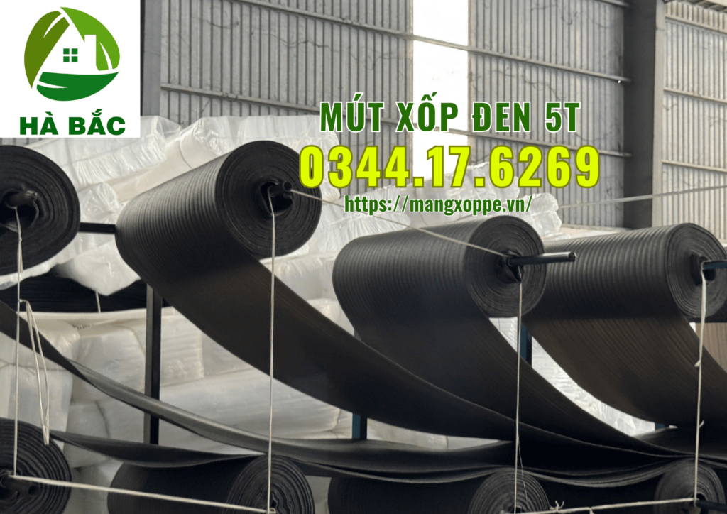 mut-xop-den-5t-tai-quan-12