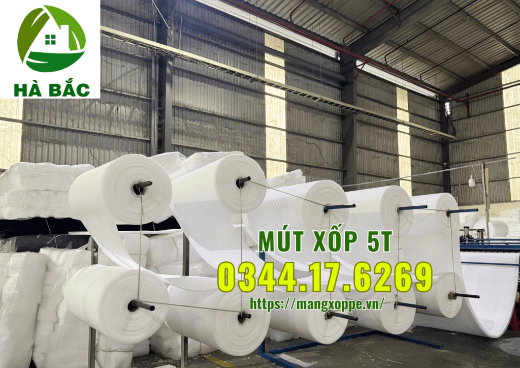 mut-xop-den-5t-tai-quan-12
