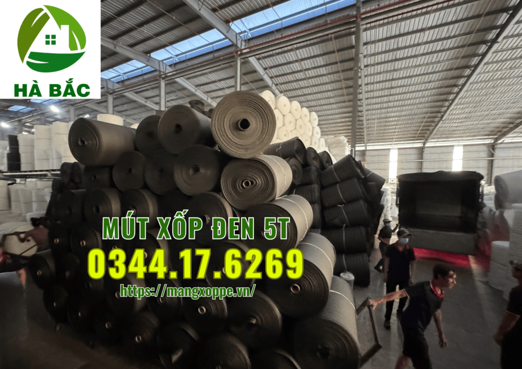 mut-xop-den-5t-tai-quan-12