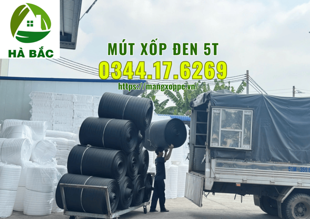 mut-xop-den-5t-tai-quan-12
